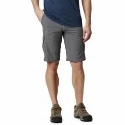 Columbia Silver Ridge II Cargo Shorts Men city grey