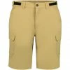 Icepeak Braswell Stretch Shorts Men amber