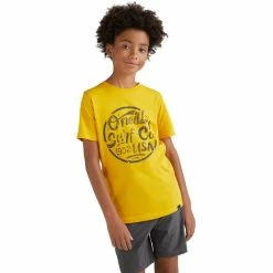 O'Neill Hybrid Shorts Boys asphalt -Hiking Shorts Sales oneill hybrid shorts boys asphalt 5