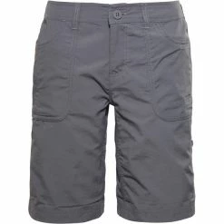 The North Face Horizon Sunnyside Shorts Women vanadis grey